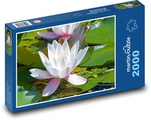 Nymphaea Puzzle 2000 pieces - 90 x 60 cm