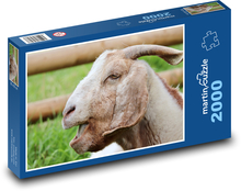 Hausziege Puzzle 2000 Teile - 90 x 60 cm
