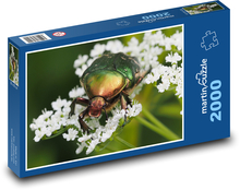 Chrząszcz na roślinie Puzzle 2000 elementów - 90x60 cm
