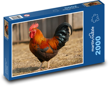 Kohout Puzzle 2000 - 90x60 cm
