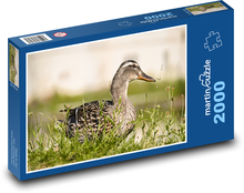 Ente Puzzle 2000 Teile - 90 x 60 cm