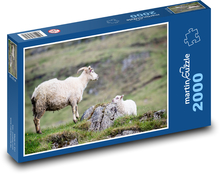 Ovce Puzzle 2000 dílků - 90 x 60 cm
