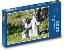Lemur Puzzle 2000 pieces - 90 x 60 cm