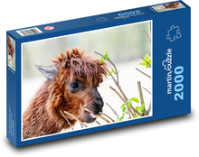 Alpaca Puzzle 2000 pieces - 90 x 60 cm