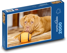 Dane of Bordeaux - pes Puzzle 2000 dielikov - 90 x 60 cm
