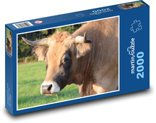 krowa Puzzle 2000 elementów - 90x60 cm