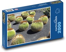Kaktusová záhrada - Lanzarote Puzzle 2000 dielikov - 90 x 60 cm