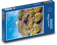 Kaktusy - Lanzarote Puzzle 2000 dielikov - 90 x 60 cm