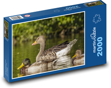 Geese on the water Puzzle 2000 pieces - 90 x 60 cm