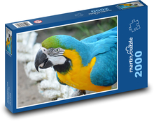 Papageien-Ara Puzzle 2000 Teile - 90 x 60 cm