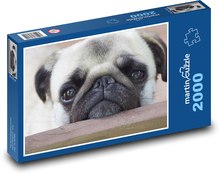 Pug Dog Puzzle 2000 pieces - 90 x 60 cm