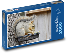 Feeding squirrel Puzzle 2000 pieces - 90 x 60 cm