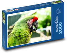 Parrot Puzzle 2000 pieces - 90 x 60 cm