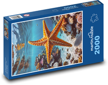 Hvězdice v moři Puzzle 2000 dílků - 90 x 60 cm