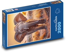 słoń Puzzle 2000 elementów - 90x60 cm