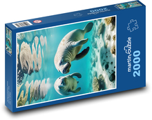 Kapusta w morzu Puzzle 2000 elementów - 90x60 cm