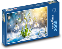 Przebiśniegi w śniegu Puzzle 2000 elementów - 90x60 cm