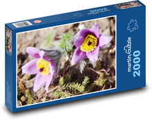 Koniklec Puzzle 2000 dielikov - 90 x 60 cm