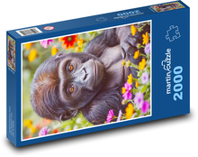 Gorila a květy Puzzle 2000 dílků - 90 x 60 cm