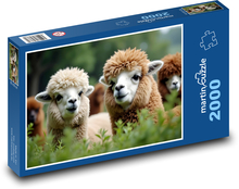 Alpaka Puzzle 2000 dielikov - 90 x 60 cm