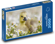 Kanadská hus Puzzle 2000 dielikov - 90 x 60 cm