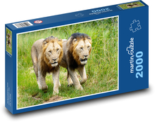 Löwen Puzzle 2000 Teile - 90 x 60 cm