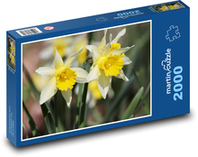 Narcissi Puzzle 2000 pieces - 90 x 60 cm