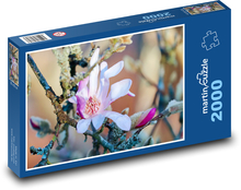Kwiat magnolii Puzzle 2000 elementów - 90x60 cm