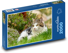 Kot Puzzle 2000 elementów - 90x60 cm