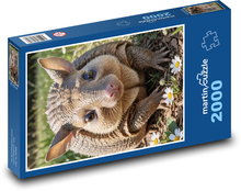 Gürteltier Puzzle 2000 Teile - 90 x 60 cm