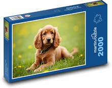 Pies - Szczeniak Puzzle 2000 elementów - 90x60 cm