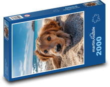 Šteňa na pláži Puzzle 2000 dielikov - 90 x 60 cm