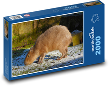 Capybara Puzzle 2000 Teile - 90 x 60 cm