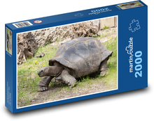 Obrovská korytnačka Puzzle 2000 dielikov - 90 x 60 cm