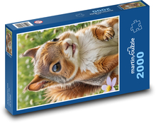 Wiewiórka Puzzle 2000 elementów - 90x60 cm