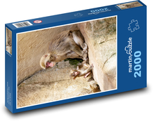 Monkey - Mother and Child Puzzle 2000 pieces - 90 x 60 cm