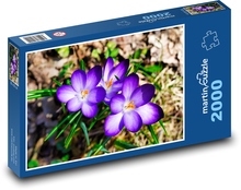Krokusy Puzzle 2000 elementów - 90x60 cm