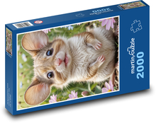 Myš Puzzle 2000 dílků - 90 x 60 cm