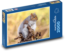 Wiewiórka Puzzle 2000 elementów - 90x60 cm