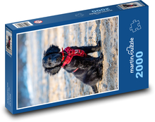 Dog Puzzle 2000 pieces - 90 x 60 cm