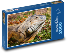 Iguany Puzzle 2000 elementów - 90x60 cm