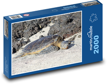 Mořská želva Puzzle 2000 dílků - 90 x 60 cm