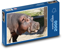 Hippopotamus Puzzle 2000 pieces - 90 x 60 cm