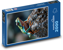 Frosch auf einem Stein Puzzle 2000 Teile - 90 x 60 cm
