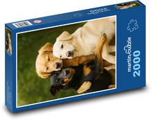 Dogs in a hug Puzzle 2000 pieces - 90 x 60 cm
