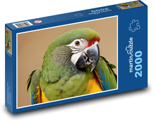 Papagei Puzzle 2000 Teile - 90 x 60 cm