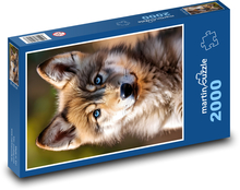 Vlčie mláďa Puzzle 2000 dielikov - 90 x 60 cm