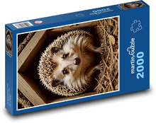Jeż w domu Puzzle 2000 elementów - 90x60 cm
