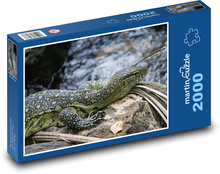 Leguan auf Stein Puzzle 2000 Teile - 90 x 60 cm
