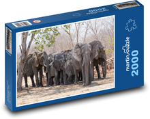 Elephant Puzzle 2000 pieces - 90 x 60 cm